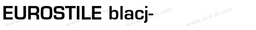 EUROSTILE blacj字体转换